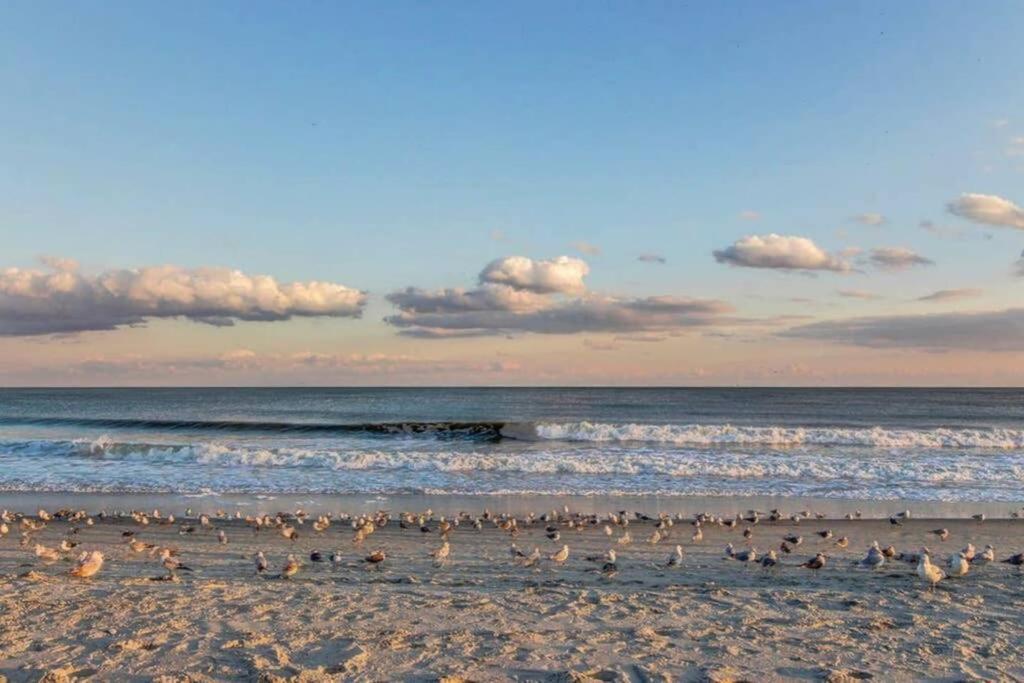 *Renovated Oceanfront Condo*Queen Beds*Pools*Hot Tubs*More*P220 Myrtle Beach Eksteriør bilde
