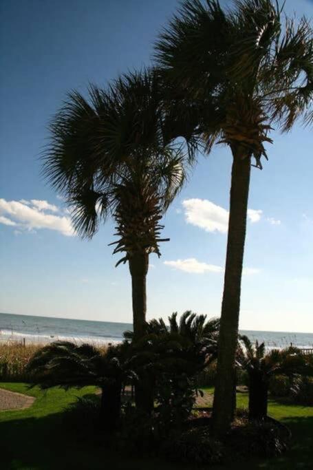 *Renovated Oceanfront Condo*Queen Beds*Pools*Hot Tubs*More*P220 Myrtle Beach Eksteriør bilde